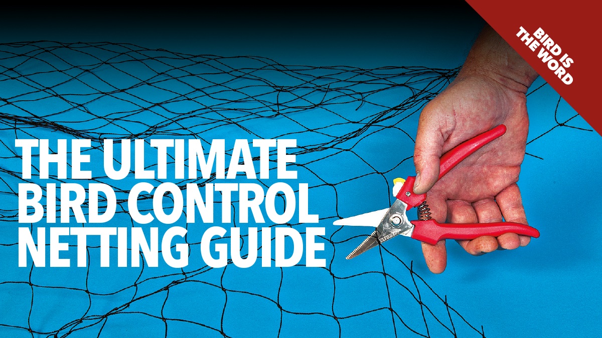 The ultimate bird control netting guide